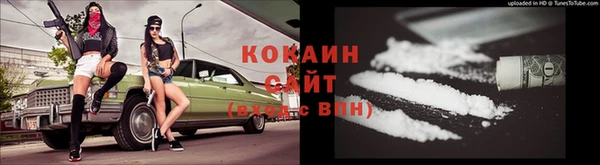 гашик Новокубанск