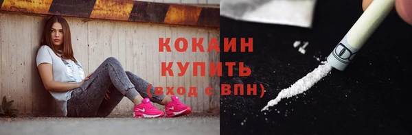 гашик Новодвинск