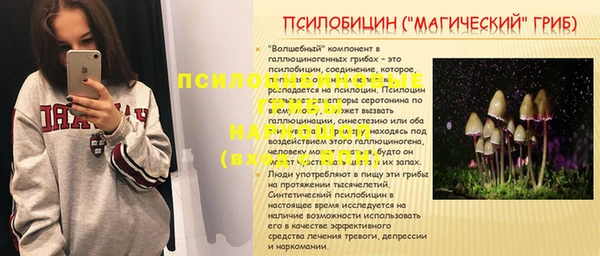 гашик Новодвинск
