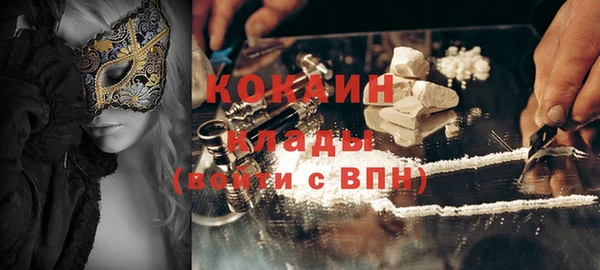 гашик Новодвинск