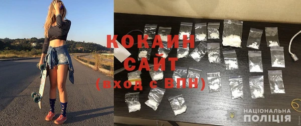 гашик Новодвинск