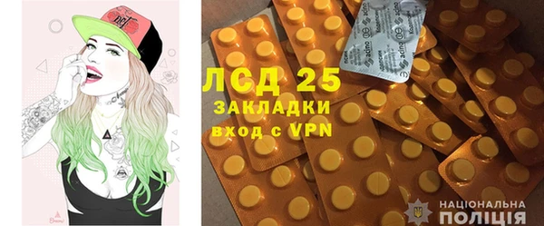 гашик Новодвинск