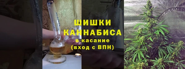 гашик Новокубанск