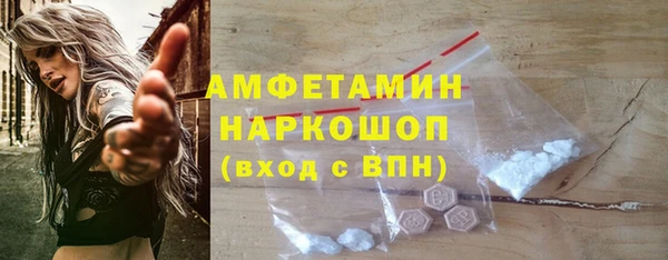 гашик Новодвинск