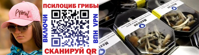 Галлюциногенные грибы Psilocybe  Хотьково 